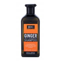 Xpel Ginger   400Ml    Für Frauen (Shampoo)