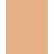 Loreal Paris Infaillible      9G Für Frauen (Makeup) 24H Fresh Wear Foundation In A Powder