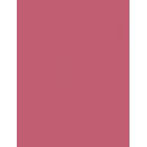 Loreal Paris Infaillible Matte Resistance Lipstick 5Ml  Für Frauen  (Lipstick)  240 Road Tripping