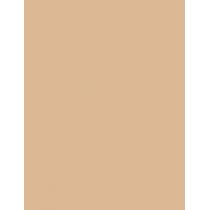 Rimmel London Stay Matte  14G 004 Sandstorm(Pulver)