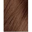 Revlon Colorsilk Beautiful Color Hair Color Colorsilk Beautiful Color 59,1 Ml + Developer 59,1 Ml + Conditioner 11,8 Ml + Gloves 59,1Ml 43 Medium Golden Brown   Für Frauen (Hair Color)