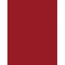 Maybelline Superstay Vinyl Ink Liquid  4,2Ml 10 Lippy   Für Frauen (Lipstick)