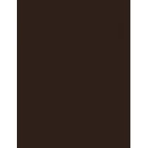 Syoss Oleo Intense Permanent Oil Color 50Ml  Für Frauen  (Hair Color)  2-10 Black Brown