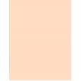Rimmel London Stay Matte  14G 001 Transparent(Pulver)