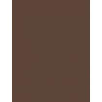 Inebrya Color      5 Pure Light Chestnut 100ml(Hair Color) Unisex