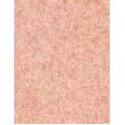 Wet N Wild Megaslicks Lip Gloss 2,3Ml  Für Frauen  (Lip Gloss)  Pink Champagne Please