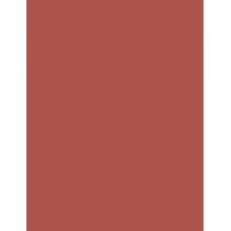 Nyx Professional Makeup Shine Loud 3,4Ml    (Lipstick) Für Frauen  03 Ambition Statement