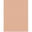 Shiseido Sun Protection Tanning Compact Foundation  SPF10   Natural 12g(Makeup) für Frauen