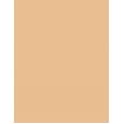 Shiseido Synchro Skin Self-Refreshing Custom Finish Powder Foundation  9G 150 Lace   Für Frauen (Makeup)