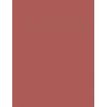 Rimmel London Kind & Free Tinted Lip Balm 4G  Für Frauen  (Lip Balm)  002 Natural Apricot