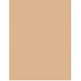 Christian Dior Forever Cushion Powder  10G Light   Für Frauen (Powder)
