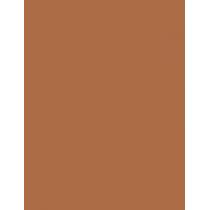 Rimmel London Kind & Free 30Ml Blur It Out Mattifying Skin Tint   (Makeup) Für Frauen  510 Cinnamon