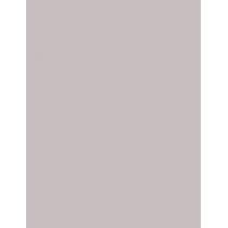 Inebrya Color      10/11 Blonde Platinum Intense Ash 100ml(Hair Color) Unisex