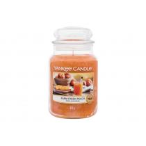 Yankee Candle Farm Fresh Peach   623G    Unisex (Scented Candle)