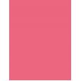 Shiseido ColorGel Lip Balm      104 Hibiscus 2g(Lipstick) für Frauen