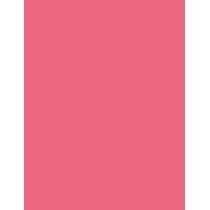 Shiseido ColorGel Lip Balm      104 Hibiscus 2g(Lipstick) für Frauen