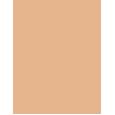 Clarins Everlasting Foundation   30Ml 110N Honey   Für Frauen (Makeup)