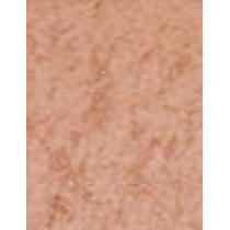 Bourjois Paris Ombre Á Paupiéres   1,2G 02 Iridesc´Sand   Für Frauen (Eye Shadow)