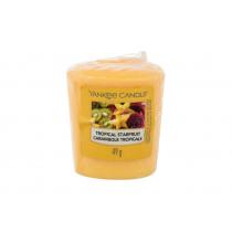 Yankee Candle Tropical Starfruit   49G    Unisex (Scented Candle)