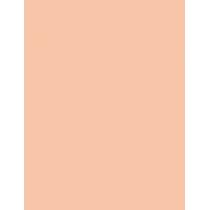 Shiseido Future Solution Lx Total Radiance Foundation  30Ml N2 Neutral  Spf15 Für Frauen (Makeup)