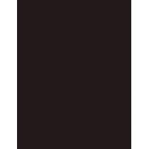 Inebrya Bionic Color      3/0 Dark Chestnut 100ml(Hair Color) Unisex