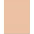 Estée Lauder Double Wear Stay In Place  7Ml 2N Light Medium (Neutral)   Für Frauen (Corrector)