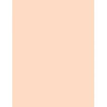 Christian Dior Forever No Transfer 24H Foundation  30Ml 2Cr Cool Rosy  Spf20 Für Frauen (Makeup)