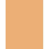 Erborian Super Bb Covering Care-Cream 15Ml  Für Frauen  (Bb Cream) SPF20 Doré