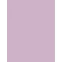 Sally Hansen Color Foil 10Ml    (Nail Polish) Für Frauen  110 Fuchsia-Ristic