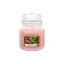 Yankee Candle Tranquil Garden   411G    Unisex (Scented Candle)