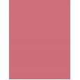 Rom&Nd Juicy Lasting Tint 5,5Ml    (Lip Gloss) Unisex  25 Bare Grape