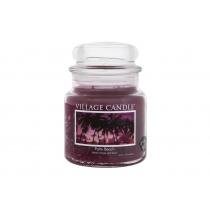 Village Candle Palm Beach   389G    Unisex (Scented Candle)