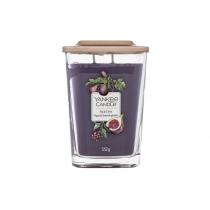 Yankee Candle Elevation Collection Fig & Clove  552G    Unisex (Scented Candle)