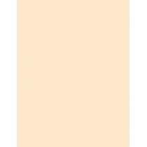 Loreal Paris True Match      11Ml Für Frauen (Corrector) Radiant Serum Concealer