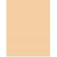 Shiseido Revitalessence  Spf30    30Ml Für Frauen (Makeup) Skin Glow Foundation