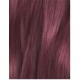 L'Oréal Paris Préférence Vivid Colors  60Ml 5,260 Violet   Für Frauen (Hair Color)