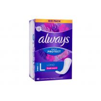 Always Daily Protect      48Pc Für Frauen (Pantyliner) Long Fresh Scent