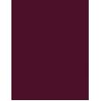 Inebrya Bionic Color      5/52 Light Chestnut Mahogany Violet 100ml(Hair Color) Unisex