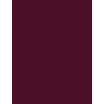 Inebrya Bionic Color      5/52 Light Chestnut Mahogany Violet 100ml(Hair Color) Unisex
