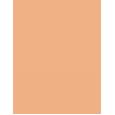 Clarins Lip Perfector      22 Peach Glow 12ml(Lip Gloss) für Frauen