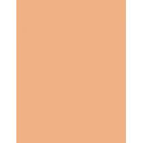 Clarins Lip Perfector      22 Peach Glow 12ml(Lip Gloss) für Frauen