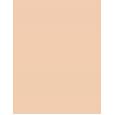 Catrice Camouflage Liquid High Coverage  5Ml 005 Light Natural  12H Für Frauen (Corrector)