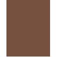 Inebrya Color      5/0 Light Chestnut 100ml(Hair Color) Unisex