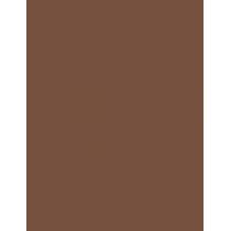 Inebrya Color      5/0 Light Chestnut 100ml(Hair Color) Unisex