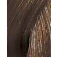 Wella Color Touch Deep Browns 60Ml  Hair Color 6-71 Für Frauen (Cosmetic)