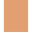 Shiseido Synchro Skin Self-Refreshing  SPF30   410 Sunstone 30ml(Makeup) für Frauen