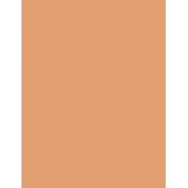 Shiseido Synchro Skin Self-Refreshing  SPF30   410 Sunstone 30ml(Makeup) für Frauen