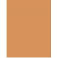 Shiseido Synchro Skin Self-Refreshing     401 Tan 5,8ml(Corrector) für Frauen