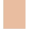 Estée Lauder Double Wear Sheer Long-Wear Makeup  30Ml 2N1 Desert Beige  Spf20 Für Frauen (Makeup)