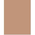 Shiseido Sun Protection Tanning Compact Foundation  SPF10   Bronze 12g(Makeup) für Frauen
